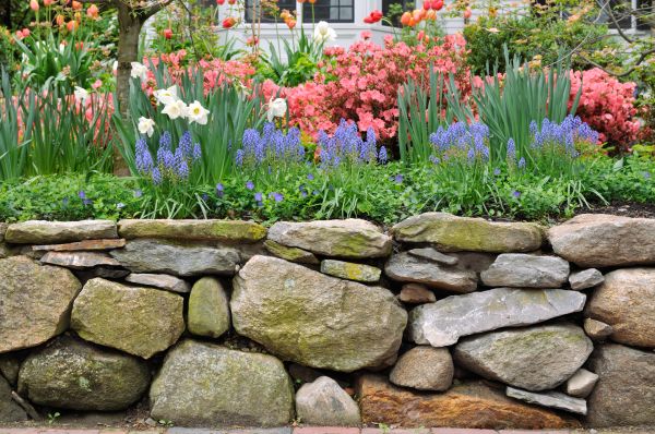 Stone Wall Hardscaping in Schenectady