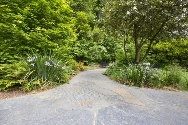 Stone Hardscape Service in Schenectady