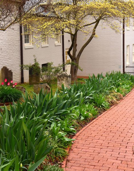 Brick Flatwork Repair in Schenectady
